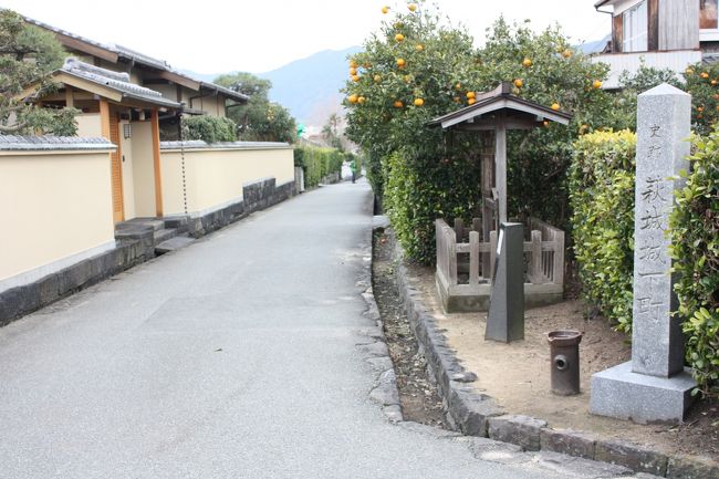 春休み、「周遊きっぷ津和野・秋芳・萩ゾーン」を利用して、山口を回ってきました。<br />その２は、萩編です。<br /><br />その１　秋芳洞・秋吉台編http://4travel.jp/travelogue/10655908