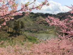 南房総/館山ぐるり旅【10】～里山の自然にかこまれた水辺で咲き誇る梅＆頼朝桜～佐久間ダム公園2012