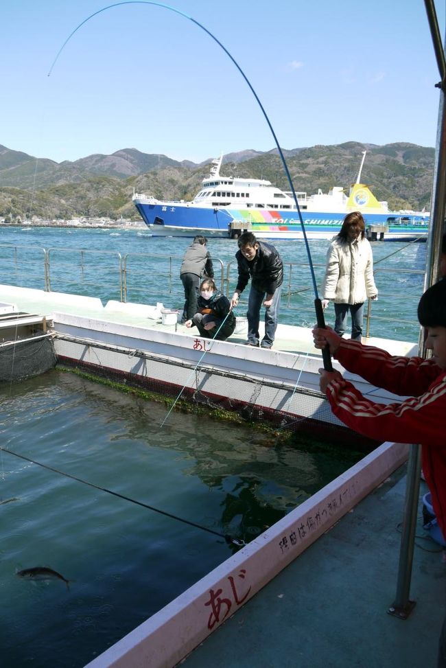 らんの里堂ヶ島を楽しんだあとは、三島に向かって帰路につきます。<br /><br />駿河湾越しの富士山を眺めながらのドライブを楽しんでいると、強風波浪にもかかわらず土肥に向かって駿河湾を航行するエスパルスドリームフェリーのフェリーボートが見えました。<br />