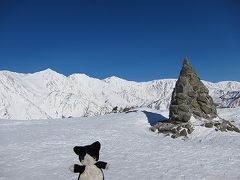 白馬八方、スキー日和