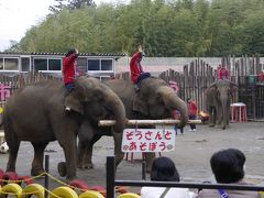 千葉県　～市原ぞうの国～