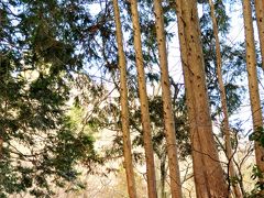 「早春ハイク！　景信山～小仏城山～高尾山　」　2012/3月　