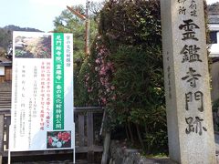 京都　霊艦寺　ぶらり春の特別拝観　