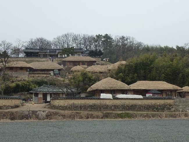 デルタ航空の15000マイルでの特典航空券で成田→釜山(ストップオバー4泊)→済州島 2泊<br />3月16日釜山より運転手付レンタカーにて日帰り観光にて慶州・良洞民俗村へ行ってきました。<br /><br />韓国にはいくつかの世界遺産が登録されていますが、2010年の夏に登録されたばかりの場所といえば、慶州から約20キロほどはなれたところにある良洞村(ヤンドンマウル)。ここは李朝時代の伝統文化や家並みが現代までそっくりそのまま残されたところで、村はまるで500年前の様子そのままとして残っている村です。。現在も人々が普通に暮らし続ける一方、貴重な民俗資料として村全体が大切に保存されています。伝統的な両班家屋や藁葺き屋根の家160戸が並び、その中には200年以上経過した古い家屋も54戸あります。李朝時代中期以降の建築様式を存分に楽しむことができる場所として、また数百年前から引き継いである伝統文化を体験できる場所もあるそうです。<br /><br />全編は下記ブログでどうぞ<br />http://blogs.yahoo.co.jp/tacnishio/folder/1210445.html?m=l
