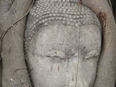 2011年12月～2012年1月タイ(バンコク・アユタヤ)