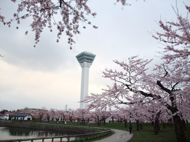 ２０１０年のGW後半に函館旅行に行ってきました。<br /><br />一番の目的は親戚の御見舞いなのですが、<br />ちょうど桜の時期でもあるということで、<br />行ったことのなかった松前城のお花見（別旅行記）<br />http://4travel.jp/traveler/hyderabad/album/10461976/<br />も兼ねて、途中私の両親も合流して、松前と函館を観光しました。<br /><br />５月５日　函館着　親戚宅訪問　御見舞い<br />５月６日　午前中　道南四季の杜公園<br />　　　　　午後　松前城　お花見<br />　　　　　http://4travel.jp/traveler/hyderabad/album/10461976/<br />５月７日　函館元町界隈散策　午後　五稜郭へ<br />５月８日　函館発<br /><br />当初の予定では、松前城は５月７日にゆっくり１日かけて行く予定でしたが、<br />天気予報では雨とのことで、１日早めて、合流した両親をピックアップして<br />午後から松前城へ駆け足お花見。<br />５月７日は、のんびり函館の街を散策しました。