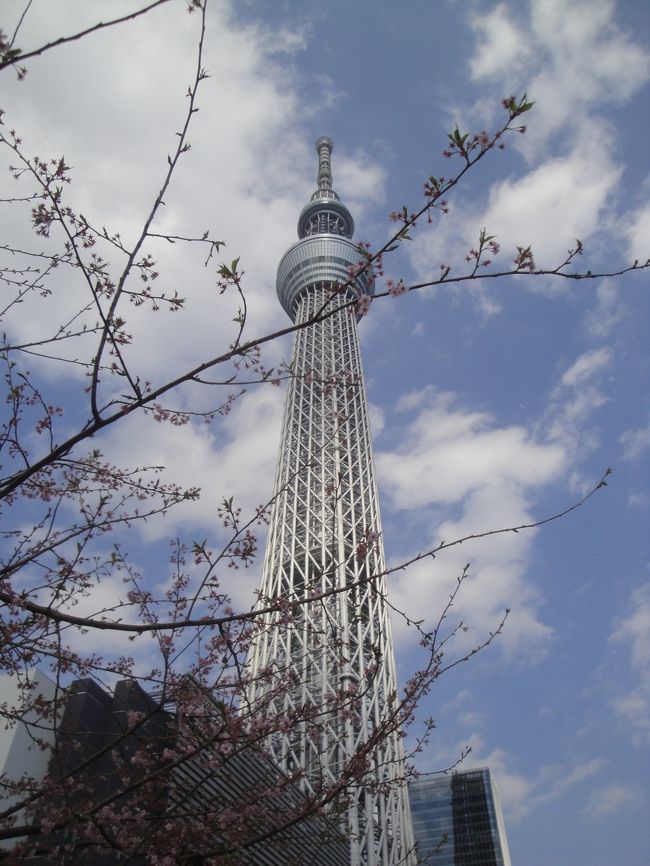 プレ オープン 東京スカイツリー 東京の旅行記 ブログ By 旅する人さん フォートラベル プレ オープン 東京スカイツリー 東京の旅行記 ブログ By 旅する人さん フォートラベル