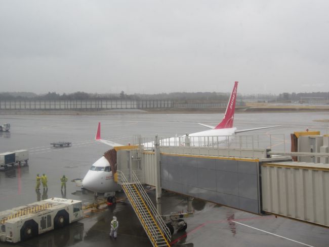 　今話題のLCCでソウルに行ってきました。イースター航空で成田からソウル仁川空港まで６，０００円。燃料サーチャージと税金を含めて片道11,000円．往復で22,000円。ソウルからの復路は、ソウル発券で金浦ー羽田の往復と日本の国内線区間がついて84,000円のANAのチケットを使って、帰ってきました。イースター航空の仁川ー成田は放棄です。ソウルでは期間中、フルマラソンの大会があり（マラソン編参照）、参加して来ました。日本の国内線は羽田ー那覇を2往復。次のGWに使う予定です。