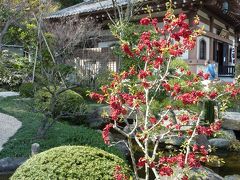 春の鎌倉を散策