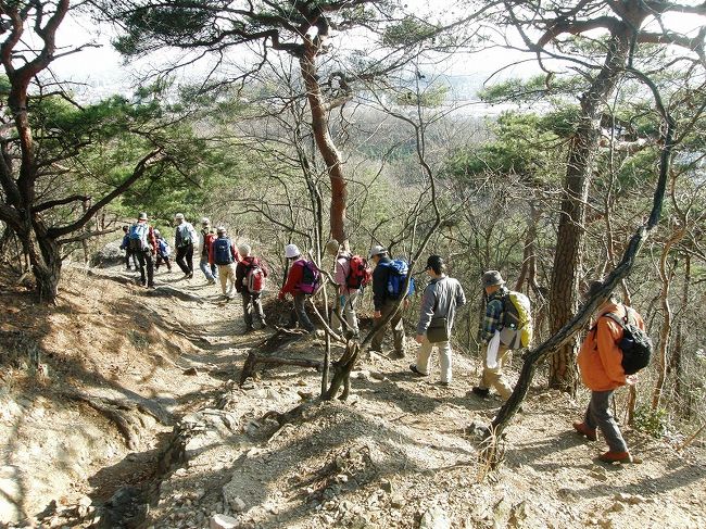 山の会、４月月例山行は栃木県足利市の行道山です。<br /><br />春を待ちこがれたように会員も久しぶりに１１名・会員の孫家族３名の計１４名で賑やかに歩くことが出来ました。<br />お孫さんの２人が平均年齢７０歳を超える会員の元気の原動力になって８時間２６．０００歩の楽しい山旅となりました。
