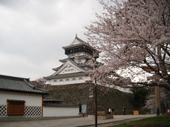 小倉城と桜のコラボ
