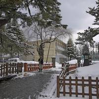 【国内84】2012.3雪の矢島に知人に会いに行く1-錦旅館に一泊