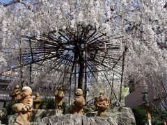 ２０１２京都桜だより　Ⅱ　桜満開の六角堂　羅漢さんも花見かな～