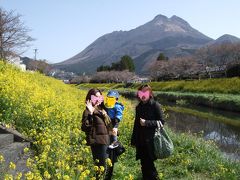 湯布院旅行～早春の由布岳＆菜の花畑～