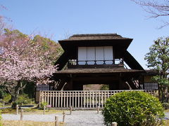 2012　京都桜だより　枳殻邸でまったりと…