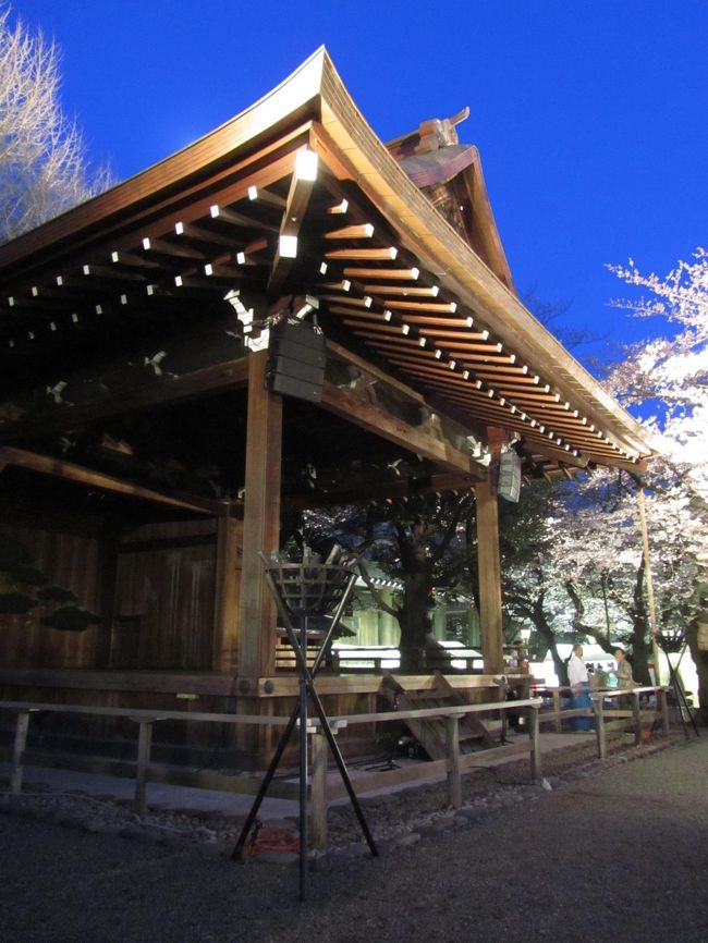 いつか一度は見たいと思っていた、神社の能舞台での薪能。<br />今年2012年で20回目になる靖国神社の奉納夜桜能のことをネットで知ったのは、ほんの偶然でした。<br />去年2011年は東日本大震災のせいで中止となりましたが、今年復活したそうです。<br /><br />能・狂言は、2010年11月に初めて鑑賞して以来、国立能楽堂で何度か見たことがあります。<br />鑑賞法も、やさしい鑑賞入門本で素人なりに勉強しました。<br />そして、靖国神社は、実はまだ一度も行ったことがありません。<br />夜桜能ついでに初めて靖国神社に足を運ぶなんて、なんという贅沢でしょうか。<br /><br />４月の２日から４日まで３晩続いた靖国神社の夜桜能ですが、３日の夜は「爆弾低気圧」で台風並みの暴風雨のため、雨天時の代替会場である日比谷公会堂で行われたようです。<br />私がチケットを予約していた４日の夜は、幸い、その暴風雨が?のように去った翌日で、一日よく晴れていて、夜桜は無事、靖国神社の能舞台で行われました。<br />今年は花の開花が大幅に遅れ、夜桜は咲かず、ふつうに薪能になるかもしれないと、期待しすぎないようにしていましたが、桜はかろうじてほんのり開花していました。<br />まだ咲き始めなので、暴風雨でも散ったりせずにすんだようです。<br /><br />そして初めて足を踏み入れた靖国神社。<br />参道にはずらっと屋台が並び、花見客のゴザが地面に敷きつめられていました。<br />桜がまだ２〜３分咲きなので、満開時の賑わいはこんなものではなかろうと思いますが、新社会人の歓迎会と思われるグループもみられ、かなり賑わっていました。<br /><br />靖国神社は参道がかなり長くて、境内は思ったより広くないと思ってしまいましたが、それは夜間で、夜桜能のためだけに入ることを許されていたため、立ち入りが制限させていたところもあったせいでした。<br />境内のマップを見ると、ふだんでもすべて一般参拝客が立ち入りできるかどうかは分からないですが、面積だけでいうと、夜桜能のときに回れたところの4倍はありそうです。<br />夜の明かりに照らされた拝殿は、能楽堂のまわりの賑わいとは裏腹に、厳かに静かにたたずんでいました。<br /><br />神社の神楽殿は見慣れていますが、能楽堂にあるのとまるきり同じ能舞台が境内にあるのを見るのは初めてです。<br />私の席は、正面席ではなく中正面席でした。<br />ちょうど薪の目の前でしたが、能も狂言も橋懸かりから演技が始まりますし、正面席もはじっこだと目付柱や作り物で演者が見えなくなったりするので、ワンランク低い席とはいえ、ちょっと安くなるし、私の席は一番正面席寄りだったおかげで、思ったより見やすくて、良い座席だったと思います。<br />能・狂言の鑑賞経験が何度かあるといっても、私はまるきり素人ですし、どの演目も初めて見るので、500円でイヤホンガイドを借りました。<br />おかげで、多少予習したといえど、その場で鑑賞ポイントを外さず、ずっと有意義な鑑賞になったと思います。<br /><br />演目は、狂言は３晩違っていて、私が見たのはおめでたい内容の「三本柱」。<br />能は３晩共通で「石橋（しゃっきょう）」ですが、流派が違います。赤い若獅子と白い親獅子が出てくる獅子舞がクライマックスです。<br /><br />「三本柱」は、登場人物が４人もいる唯一の狂言であり、しかも能と同じ囃子がで出来て、台詞劇の狂言にしては音楽要素もある演目で、まさに私好みでした。<br />「石橋」は、舞台装置が簡素な能にしては、石橋を示す畳に牡丹の木があるという、華やかなものでした。<br />しかも、宝生流は、イヤホンガイドによると、他の流派が紅白の２本の牡丹の木なのに対して、朱鷺色、すなわちピンクの牡丹の木もあって、舞台がさらに華やかになっていました。ミーハーな私にぴったり@<br />獅子舞の動きは、それまでの厳かで動きの少ない演者たちとうってかわって、ものすごく軽やかでした。<br />白の親獅子はそれでも鷹揚で貫禄を感じさせるところがあったのに対して、若獅子の赤い獅子は、俊敏で溌剌としていて、すごく初々しくて、妙に可愛らしかったのが非常に印象的でした。<br /><br />夜桜が満開だったらさらに申し分なかったと思いますが、それでもいいものが見られました。<br />ただ、しんしんと冷え込む春の夜をちょっと侮っていて、途中で手袋をつけたくらいでした。<br />見ている最中は寒さを忘れられたものの、終わったらぷるぶると震えがきてしまいました（苦笑）。<br /><br />国立能楽堂の写真を収めた旅行記はこちら。<br />2010年11月19日<br />「ベールを脱いだ能舞台にワクワク@───能・狂言鑑賞に初チャレンジ！」<br />http://4travel.jp/traveler/traveler-mami/album/10522513/<br /><br />夜桜能の公式サイト<br />http://houryukai.sharepoint.com/Pages/default.aspx<br />靖国神社 第20回奉納 夜桜能のページ<br />http://www.yasukuni.or.jp/news_detail.php?article_id=0071<br />