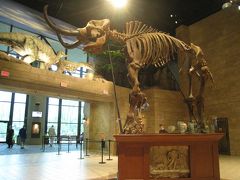 創造博物館 ☆Creation Museum☆