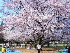 わが街からの花だより　２