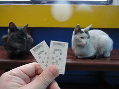 2012年1月 台湾北部旅行「総統選挙」と「ネコ」と「初詣」と「火鍋と湯圓」（１）