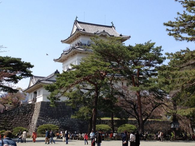 青春１８切符で東京へ遊びに行った帰りに小田原城に寄ってみました。<br />小田原には何度も何度も通過したり、乗り換えたりしてますが、小田原城を観光するのは実は初めてです。