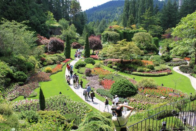 大自然と花の旅<br /><br />ビクトリアは花のあふれる町。<br />青空と花が良く似合います。<br /><br /><br />１日目　成田〜ナイアガラ<br />２日目　ナイアガラ〜レイクルイーズ<br />３日目　コロンビア大氷原観光<br />４日目　レイクルイーズ〜バンフ<br />５日目　バンフ〜バンクーバー<br />６日目　ビクトリア観光<br />７日目　バンクーバー発<br />８日目　成田着