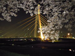 わが街からの花だより　３