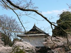 千鳥ケ淵公園で満開の桜を見る