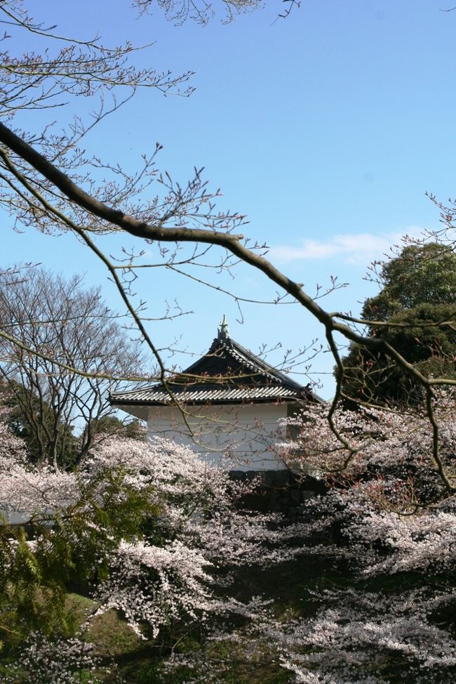 花見の時期になるといつも千鳥ケ淵公園の桜を見に行きたいと思いながら、これまで新聞等で報道される、「ものすごい人ごみで歩くのさえままならない」というような記事を見て躊躇していました。<br /><br />今年は近くに行く用事があり、しかも同行してくれる友人がいたので、思い切って出掛けてみました。この日が満開という報道があり、それを知ってかさすがに大勢の人が押し掛けていて、桜の沿道は立錐の余地もないほどで(これは大げさかもしれませんが）、桜を見に行ったのか人を見に行ったのか分からない程です。<br /><br />この日は千鳥ケ淵公園をはじめとして、インド大使館、千鳥ケ淵戦没者墓宛、イギリス大使館を回ってみました。どこも桜が美しく、十分楽しむことが出来ました。