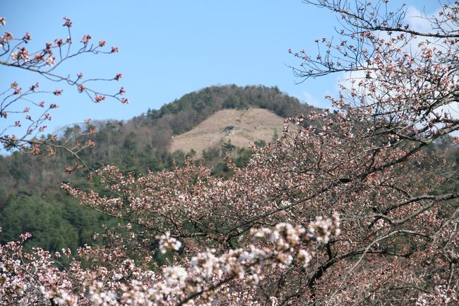 ４月に入っても寒いけど桜の状況ってどうなっているんだろう？<br /><br />特に予定のない土曜日なので近くを散策してみることにしました。<br /><br />一言で言うなら「まだ早かった！」ですね！<br /><br />2010年に自転車で行ったのとコース的に変わらないけど開花状況が違います。<br />http://4travel.jp/traveler/yzr400/album/10447959/