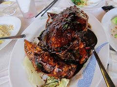 車イスでGo!!シンガポール汗と、熱さと、優しさ編4 （ブギス＆アラブストリート～ボート・キー）