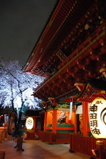 今年は桜の開花が遅れている・・・なんて言われてたけど<br />家の近くでは、そろそろ見頃の所も。<br />さっそく出かけて来ました。<br /><br />三脚は持って行ったものの、防寒に抜かりがあり<br />寒くてすぐ撤収したので(言い訳)<br />全て手持ちでの撮影です(夜だけど)。<br />で、かなりブレ有り。