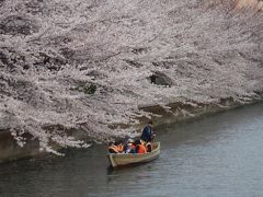 深川　さくらまつり　和船乗船