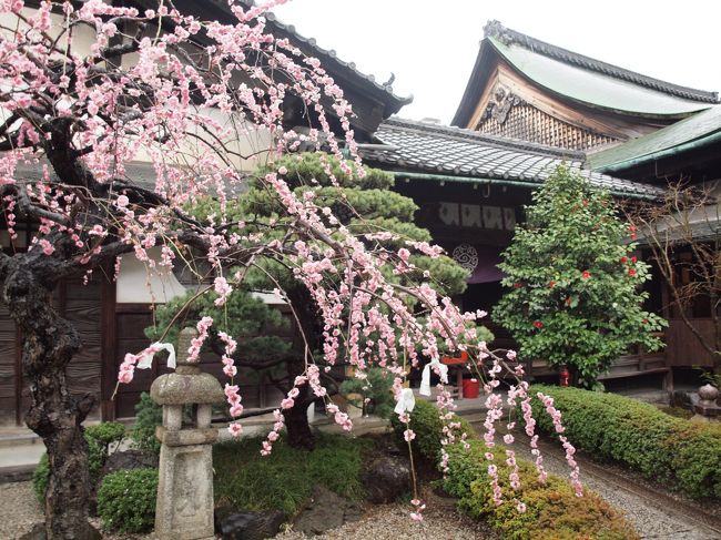 京都へ来ました！<br /><br />仏像好きなので、<br />京都へ行くと、つい、奈良へ行ってしまいますが、<br /><br />今回は、京都のみ！！<br /><br />しかも、春ですよー<br />春といえば、花ですよー<br />花といえば、<br /><br />・・・雨でした。涙<br /><br />まずは、京都駅周辺を散策です。