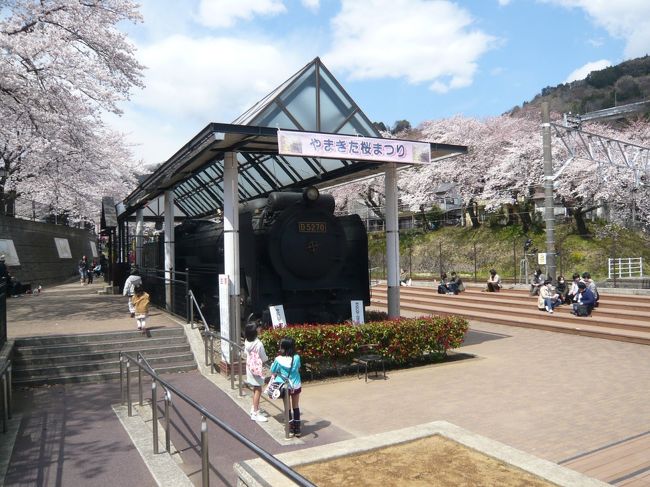 近くですが訪れた事のなかった山北鉄道公園で<br />やまきた桜まつりが開催されていたので花見に行ってきました。<br />http://www.town.yamakita.kanagawa.jp/contents_detail.php?frmId=509