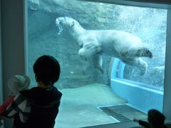 娘を連れて日本平動物園へ　猛獣館２９９はけっこう迫力ありますよ。