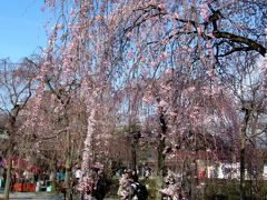 今年の組合の旅行は箱根～伊豆方面