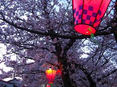 2012.4.7 恒例の岩倉五条川桜まつり＆ちょっとだけ夜桜♪