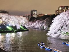 ★東京の満開桜★千鳥ケ淵・愛宕神社・桜坂・ミッドタウン・皇居・芝公園・・・