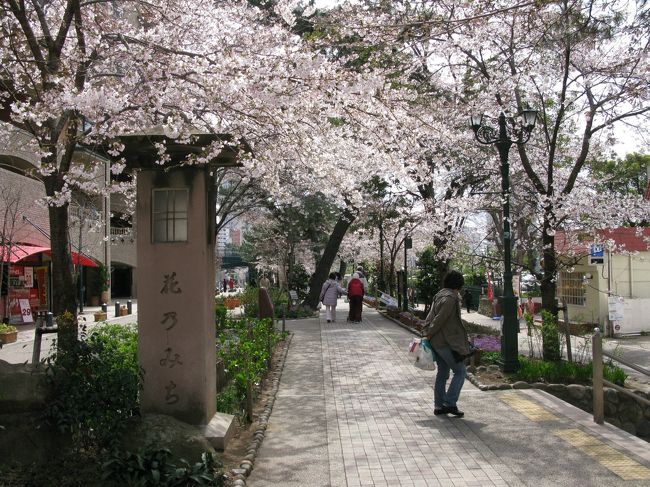 春爛漫ですか？<br />桜も見ごろを迎えようとしています。<br /><br />宝塚　花のみち<br />今年も来ました花の道<br />桜がきれいでした。<br /><br />大阪府池田市の九安寺。関西花の寺１２番霊場<br />虚空園が綺麗でした。<br />