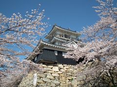２０１２年４月青春１８きっぷのたび　その２　浜松・静岡・小田原・上野各地で桜