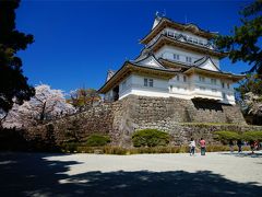 桜 in 小田原城