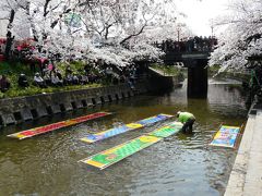 春一番の五条川さくら祭りに訪れて・・・。