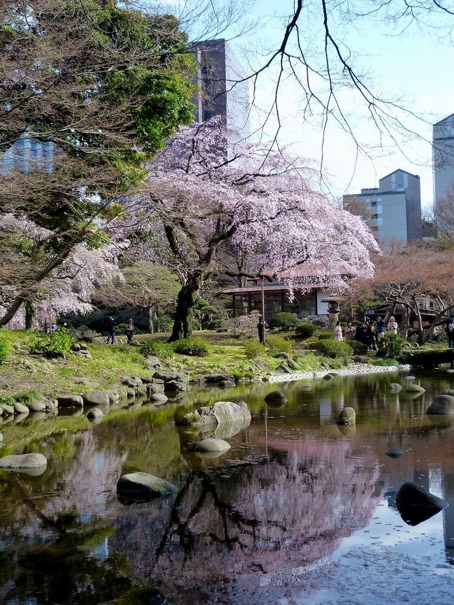 12 04 06 桜ウォーク 六義園 小石川後楽園まで歩いてみよう 東京の旅行記 ブログ By かもっちさん フォートラベル