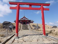 まだ早かった箱根の桜　(小田原　箱根）