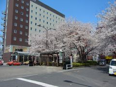 番外編　駒込の六義園が有名ですが!!