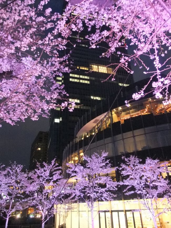 東京都内の桜見物です。ちょうど都内の桜は満開で見ごたえありました。<br />彩の良い、さくらは日本の四季の良さを十分に満喫できますね。各所はどこも花見日和で大賑わいでした。<br />この日は晴天の恵まれ、心地よい一日でしたよ。<br /><br /> 日本橋→上野公園→浅草→スカイツリー→錦糸町→東京タワー→六本木(ミッドタウン)<br />