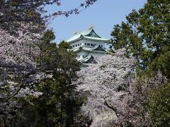 名古屋城☆満開の桜のお花見☆