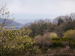 まほろば紀行・カチカチ山