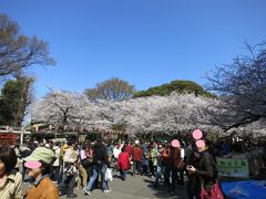 今年は上野のサ・ク・ラ