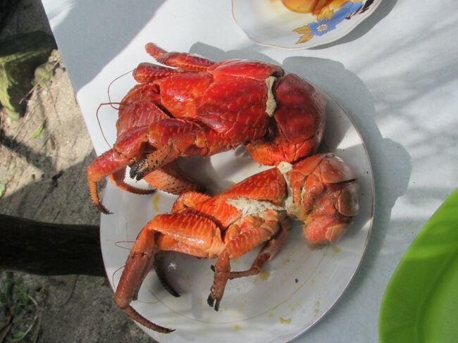 フィリピン最北端の島へヤシガニを食べに行く その他の観光地 フィリピン の旅行記 ブログ By Kochanさん フォートラベル